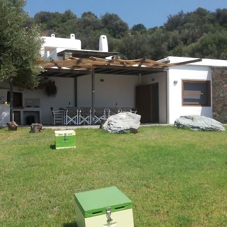 Skinammos Eco Villas Marmari  Exterior foto